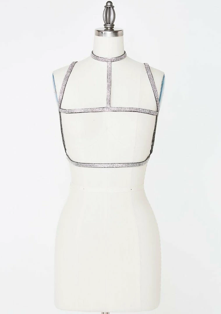 Poster Grl Wrapped In Cash Body Harness 8 Poster Grl Wrapped In Cash Body Harness